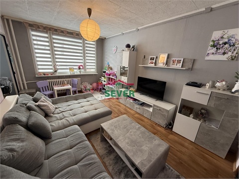 Prodej bytu 3+1, 55 m² 10