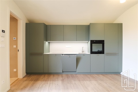 Pronájem bytu 1kk, 59 m²