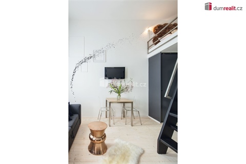 Pronájem bytu 1kk, 25 m² 4