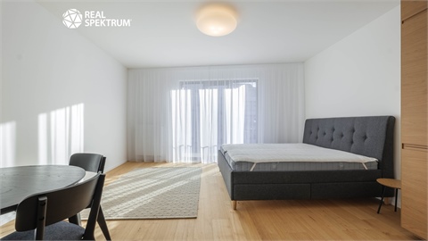Pronájem bytu 1kk, 41 m² - 0
