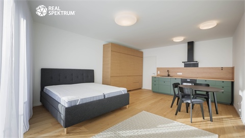 Pronájem bytu 1kk, 41 m² - 2