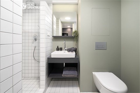 Pronájem bytu 1kk, 24 m² 4