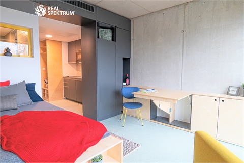 Pronájem bytu 1kk, 24 m² 0