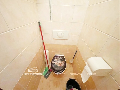 Pronájem bytu 3+1, 57 m² 6