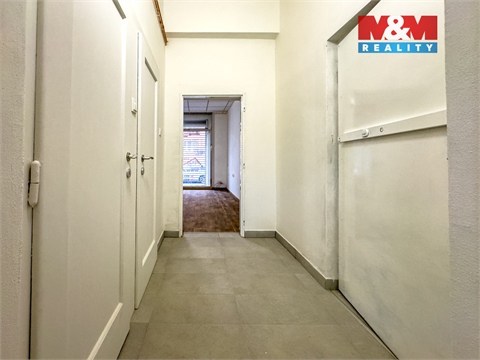 Pronájem obchodních prostor, 45 m² - 8