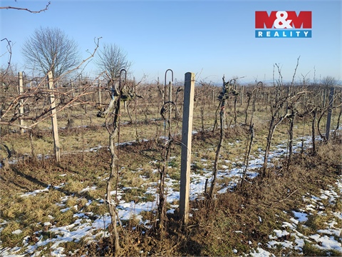 Prodej zemědělské půdy, 3 677 m² - 0