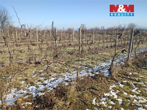 Prodej zemědělské půdy, 3 677 m² - 2