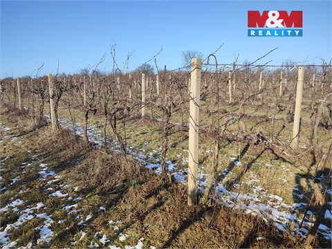 Prodej zemědělské půdy, 3 677 m² 4