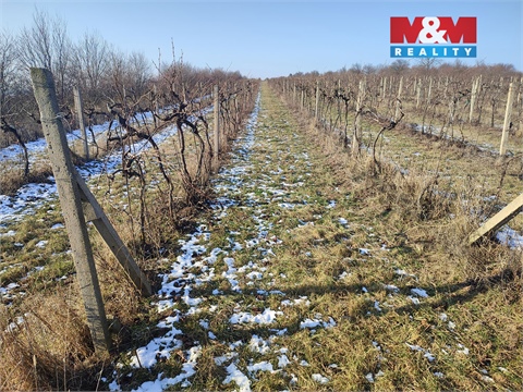 Prodej zemědělské půdy, 3 677 m² - 4