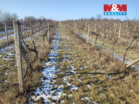 Prodej zemědělské půdy, 3 677 m² 2