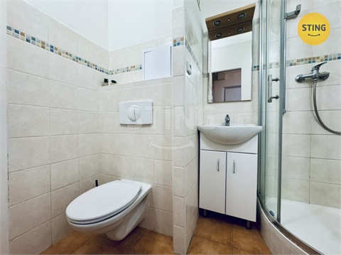 Pronájem bytu 1kk, 39 m² 4