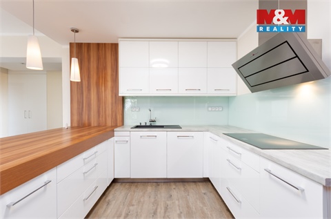 Pronájem rodinného domu, 200 m² 4