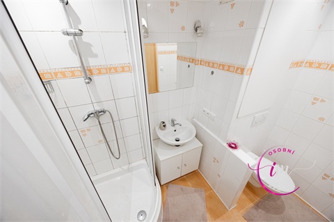 Prodej bytu 2+1, 50 m² 4