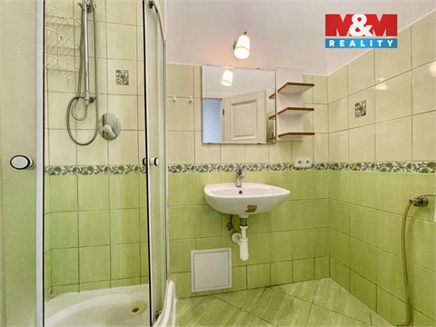 Prodej komerčního objektu, 246 m² - 14