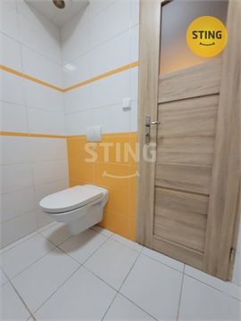 Pronájem bytu 2+1, 54 m² 12