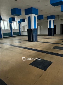 Pronájem skladu / haly, 151 m² 0