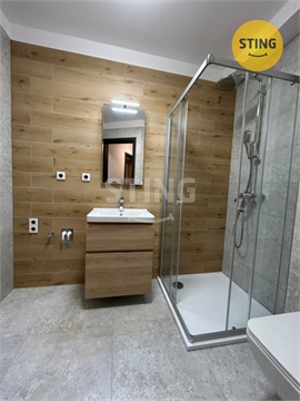 Pronájem bytu 2kk, 56 m² 8