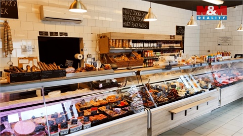 Pronájem obchodních prostor, 245 m² 4