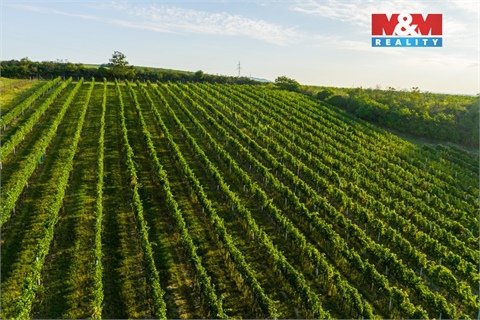 Prodej zemědělské půdy, 56 699 m² - 2