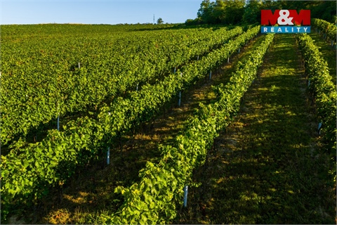 Prodej zemědělské půdy, 56 699 m² 10