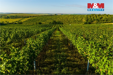 Prodej zemědělské půdy, 56 699 m² 12