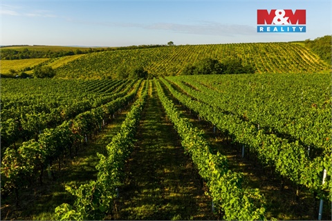 Prodej zemědělské půdy, 56 699 m² 8