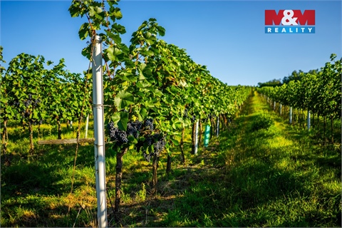 Prodej zemědělské půdy, 56 699 m² 2