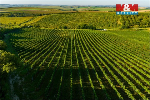 Prodej zemědělské půdy, 56 699 m² - 12