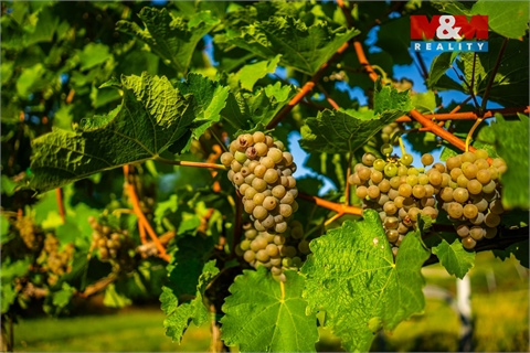 Prodej zemědělské půdy, 56 699 m² - 14