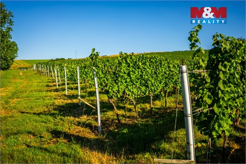 Prodej zemědělské půdy, 56 699 m² 14