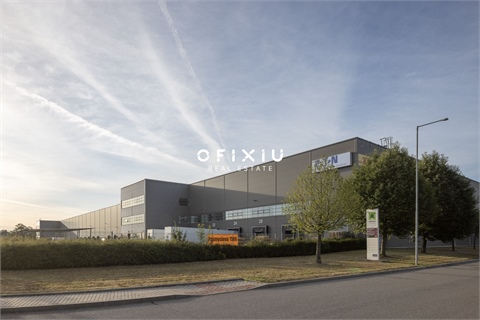 Pronájem skladu / haly, 8 000 m² - 0