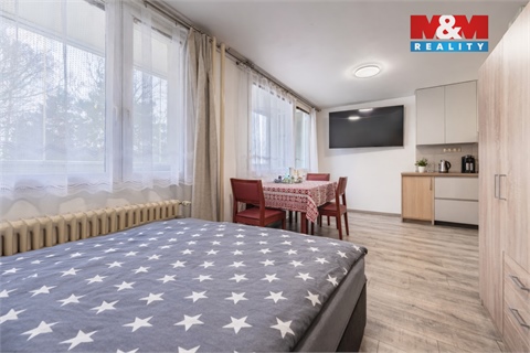 Prodej bytu 1kk, 28 m² 2