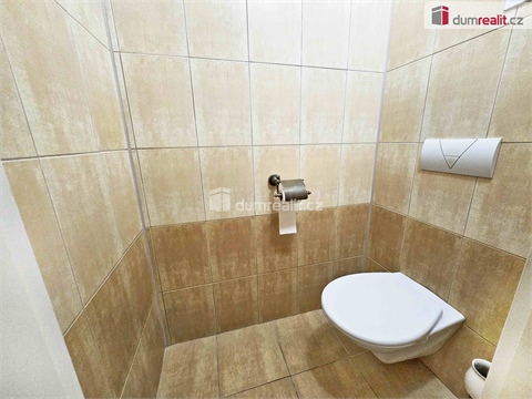 Pronájem bytu 2+1, 62 m² - 16