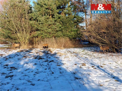 Prodej zahrady, 1 052 m² 4