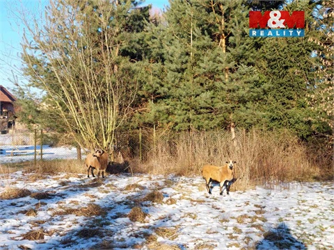 Prodej zahrady, 1 052 m² - 2