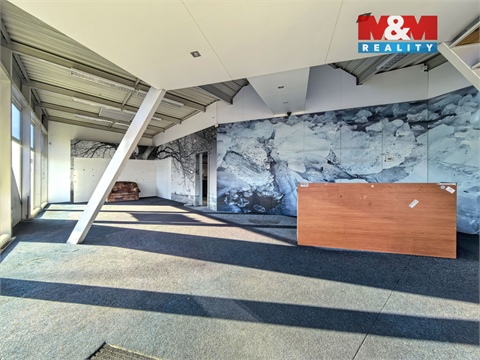 Pronájem obchodních prostor, 117 m² - 4