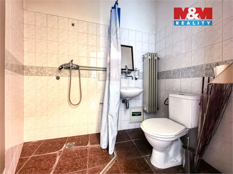 Pronájem obchodních prostor, 117 m² - 8