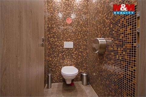 Pronájem obchodních prostor, 180 m² 10