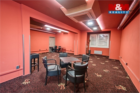 Pronájem obchodních prostor, 180 m² - 14