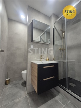 Pronájem bytu 1+1, 40 m² - 0