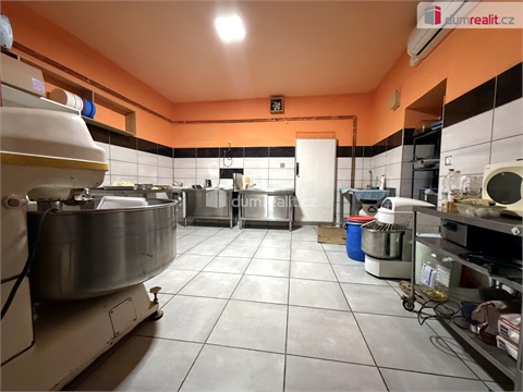 Pronájem komerčního objektu, 130 m² - 4