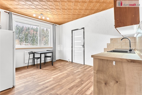 Prodej bytu 1+1, 36 m² 4