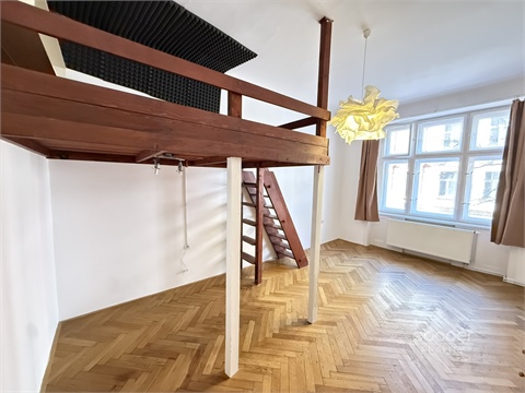 Pronájem bytu 3+1, 110 m² 4
