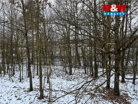 Prodej zemědělské půdy, 5 135 m² - 4