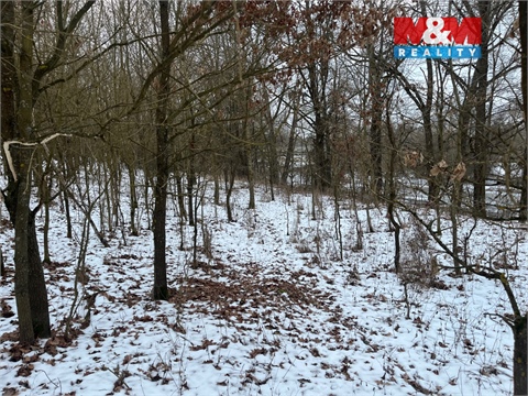 Prodej zemědělské půdy, 5 135 m² 4