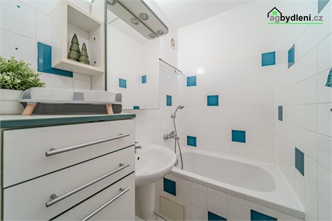 Prodej bytu 1+1, 39 m² 6