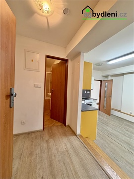 Pronájem bytu 3kk, 52 m² - 4