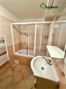 Pronájem bytu 3kk, 52 m² - 6