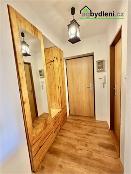 Pronájem bytu 2+1, 50 m² - 6