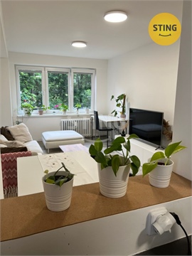 Pronájem bytu 2+1, 49 m² - 10